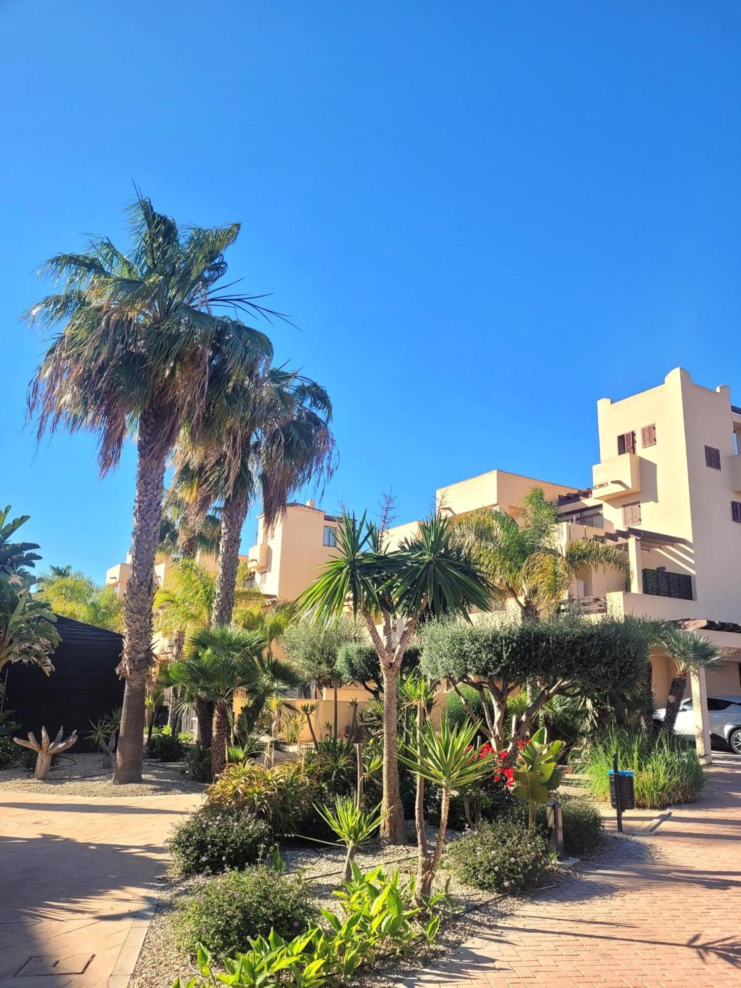 Bajo Con Una Terraza Espectacular Al Lado De La Playa Y Con Acceso Directo A La Piscina! Los Amarguillos Екстериор снимка